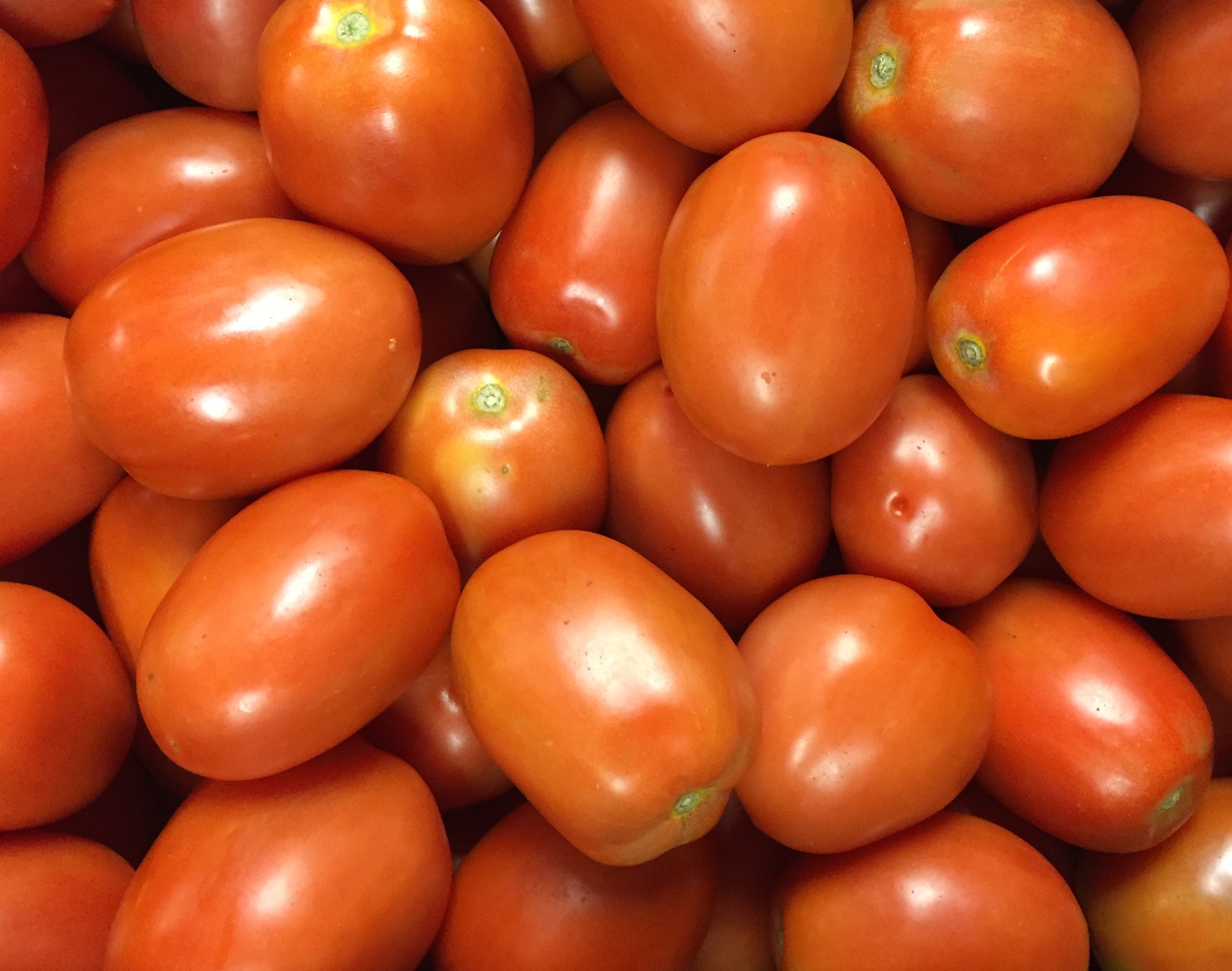 Fresh tomatoes